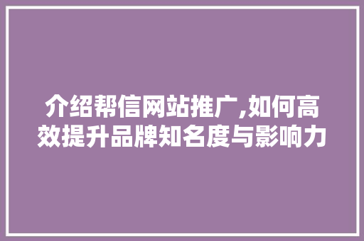 介绍帮信网站推广,如何高效提升品牌知名度与影响力