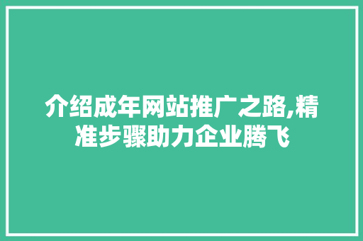 介绍成年网站推广之路,精准步骤助力企业腾飞