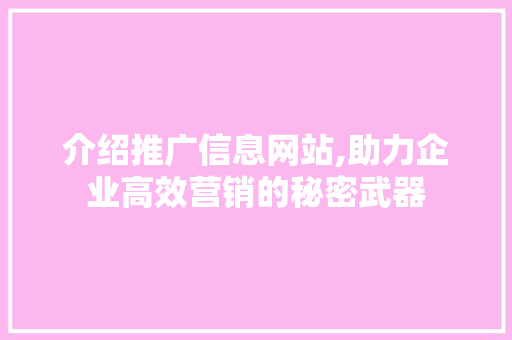 介绍推广信息网站,助力企业高效营销的秘密武器