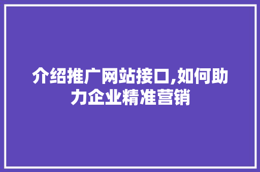 介绍推广网站接口,如何助力企业精准营销