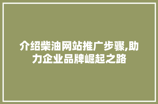 介绍柴油网站推广步骤,助力企业品牌崛起之路