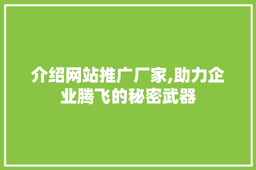 介绍网站推广厂家,助力企业腾飞的秘密武器