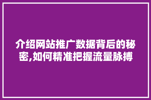 介绍网站推广数据背后的秘密,如何精准把握流量脉搏