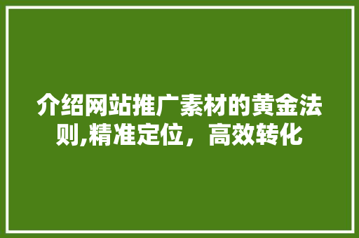 介绍网站推广素材的黄金法则,精准定位，高效转化