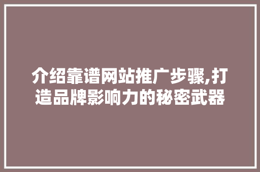介绍靠谱网站推广步骤,打造品牌影响力的秘密武器