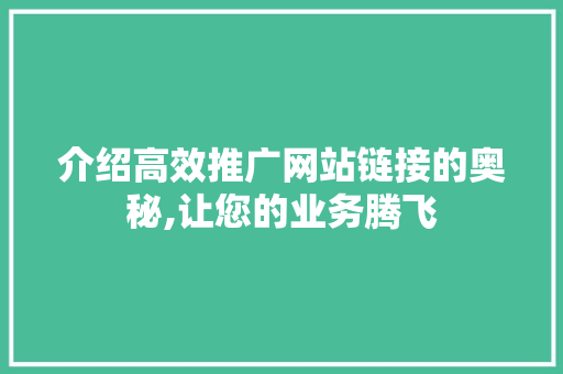 介绍高效推广网站链接的奥秘,让您的业务腾飞