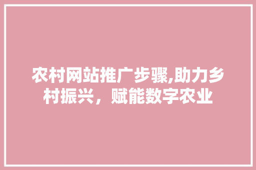 农村网站推广步骤,助力乡村振兴，赋能数字农业
