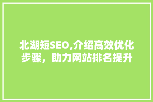 北湖短SEO,介绍高效优化步骤，助力网站排名提升