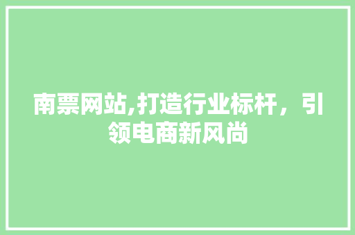 南票网站,打造行业标杆，引领电商新风尚