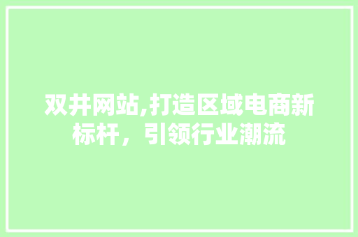 双井网站,打造区域电商新标杆，引领行业潮流