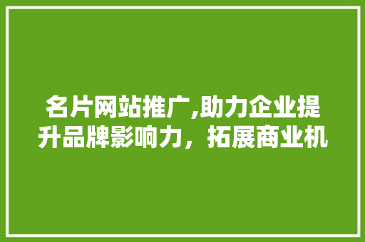 名片网站推广,助力企业提升品牌影响力，拓展商业机遇