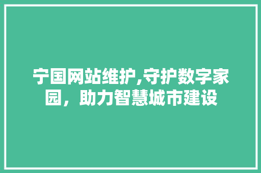 宁国网站维护,守护数字家园，助力智慧城市建设
