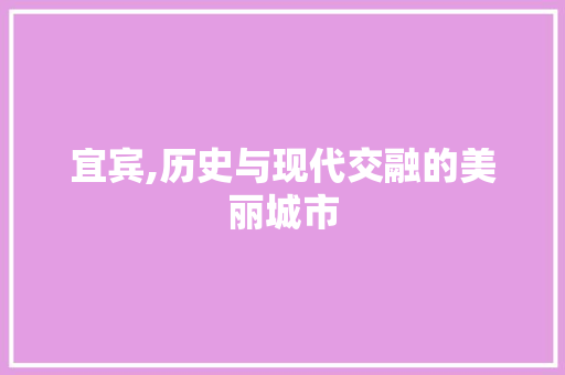 宜宾,历史与现代交融的美丽城市