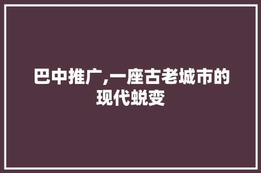 巴中推广,一座古老城市的现代蜕变