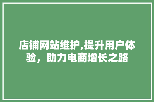 店铺网站维护,提升用户体验，助力电商增长之路
