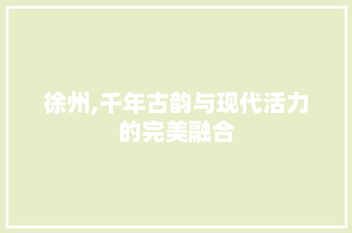 徐州,千年古韵与现代活力的完美融合