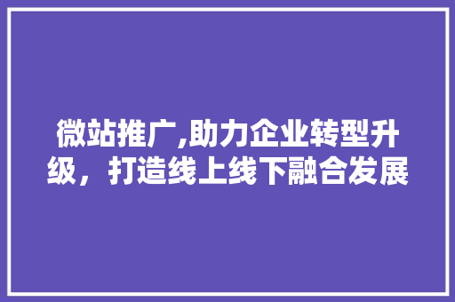 微站推广,助力企业转型升级，打造线上线下融合发展新格局