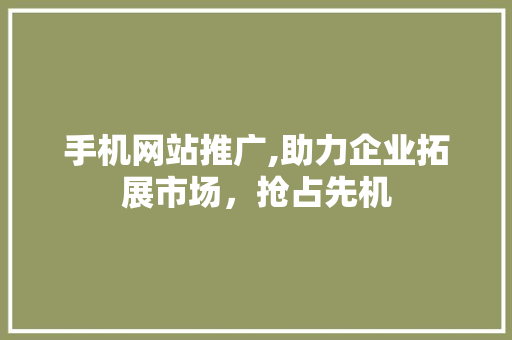 手机网站推广,助力企业拓展市场，抢占先机