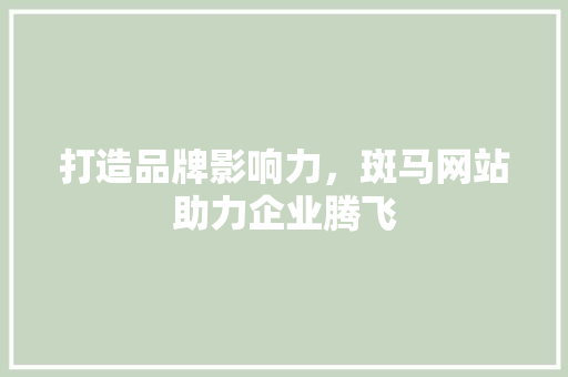 打造品牌影响力，斑马网站助力企业腾飞