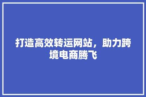 打造高效转运网站，助力跨境电商腾飞