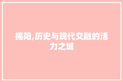 揭阳,历史与现代交融的活力之城