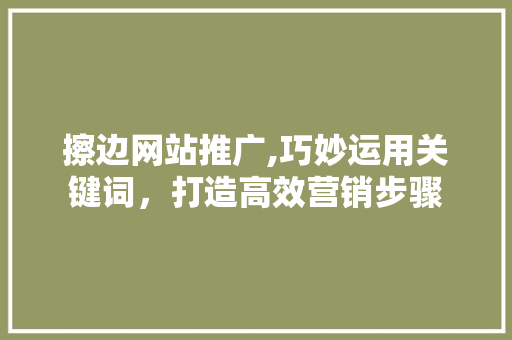 擦边网站推广,巧妙运用关键词，打造高效营销步骤