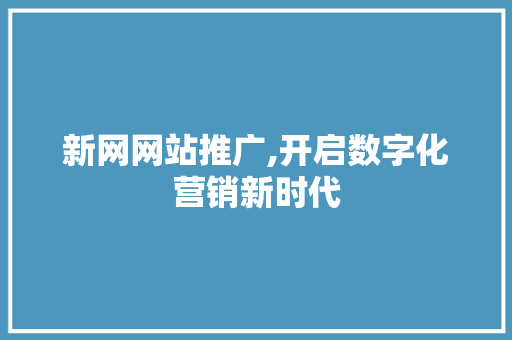 新网网站推广,开启数字化营销新时代