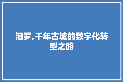 汨罗,千年古城的数字化转型之路