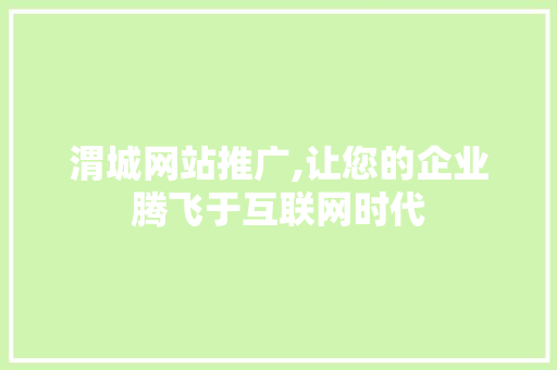 渭城网站推广,让您的企业腾飞于互联网时代