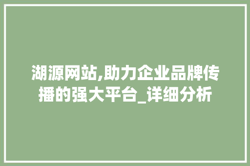 湖源网站,助力企业品牌传播的强大平台_详细分析