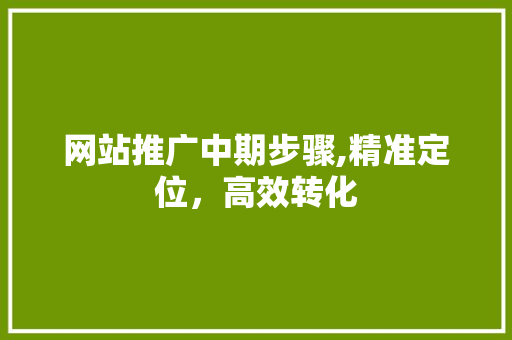 网站推广中期步骤,精准定位，高效转化