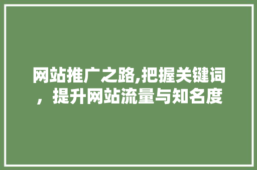 网站推广之路,把握关键词，提升网站流量与知名度
