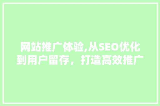 网站推广体验,从SEO优化到用户留存，打造高效推广步骤