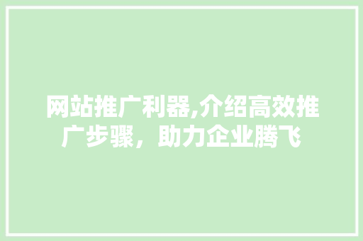 网站推广利器,介绍高效推广步骤，助力企业腾飞