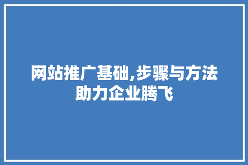 网站推广基础,步骤与方法助力企业腾飞