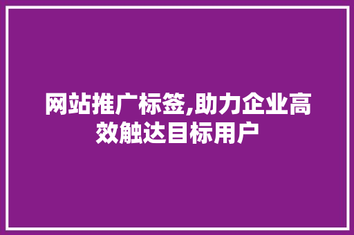 网站推广标签,助力企业高效触达目标用户