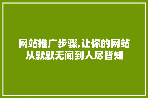 网站推广步骤,让你的网站从默默无闻到人尽皆知