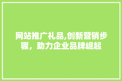 网站推广礼品,创新营销步骤，助力企业品牌崛起