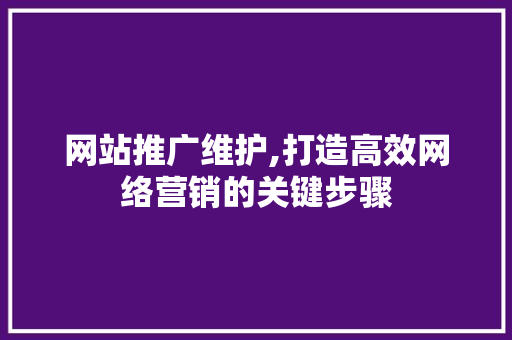 网站推广维护,打造高效网络营销的关键步骤