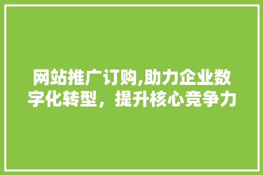 网站推广订购,助力企业数字化转型，提升核心竞争力