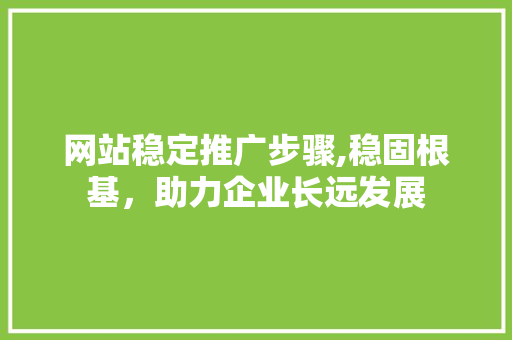 网站稳定推广步骤,稳固根基，助力企业长远发展