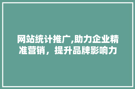 网站统计推广,助力企业精准营销，提升品牌影响力
