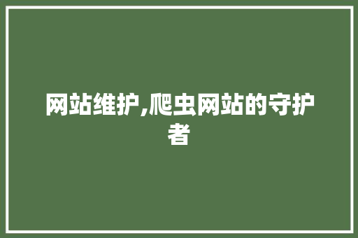 网站维护,爬虫网站的守护者