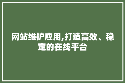 网站维护应用,打造高效、稳定的在线平台