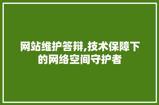 网站维护答辩,技术保障下的网络空间守护者