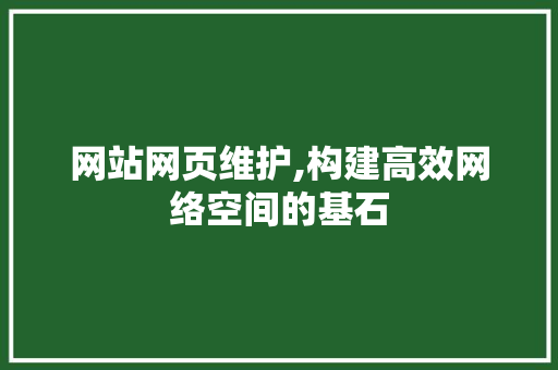 网站网页维护,构建高效网络空间的基石