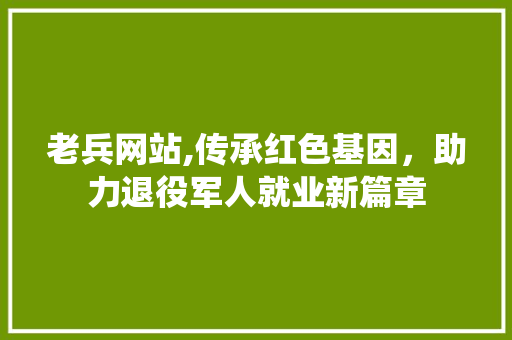 老兵网站,传承红色基因，助力退役军人就业新篇章