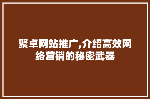 聚卓网站推广,介绍高效网络营销的秘密武器