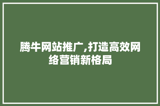 腾牛网站推广,打造高效网络营销新格局