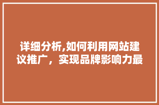 详细分析,如何利用网站建议推广，实现品牌影响力最大化